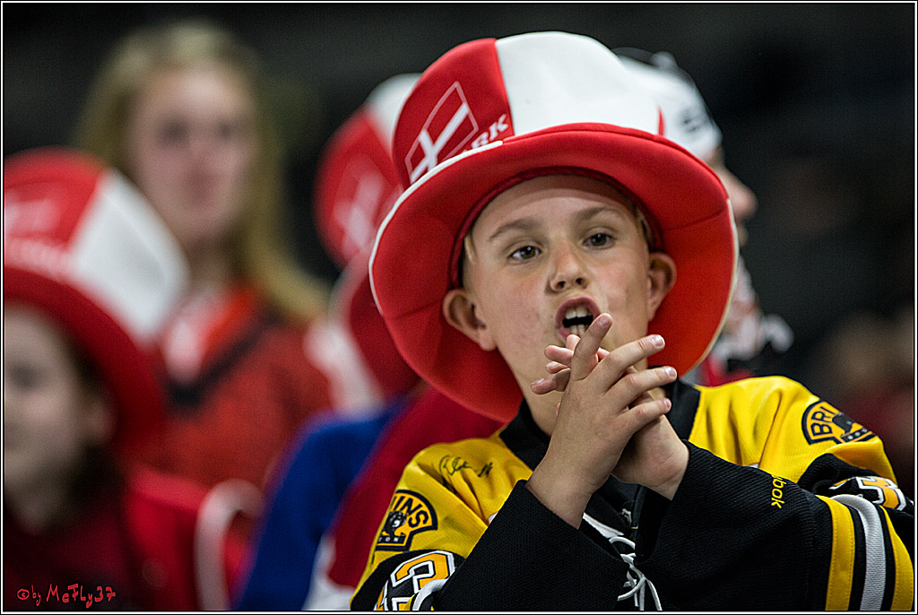 IIHF WM 2017, Daenemark - Schweden, 14.05.2017